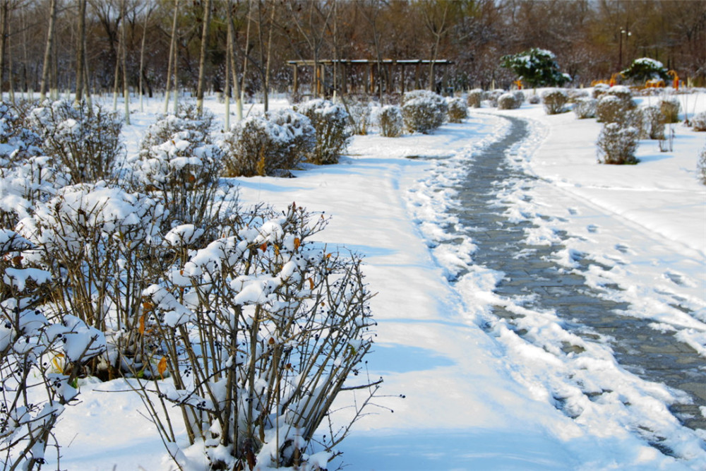 拉尼娜|拉尼娜出现反弹？持续到冬季的概率大大增加，我国南方会下雪吗？