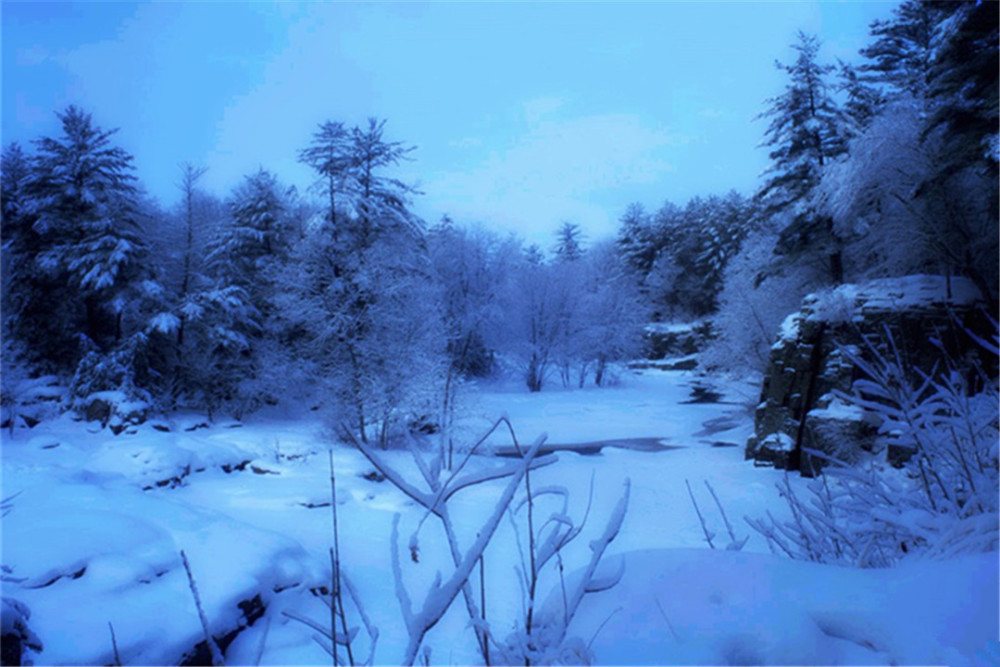 拉尼娜|拉尼娜出现反弹？持续到冬季的概率大大增加，我国南方会下雪吗？