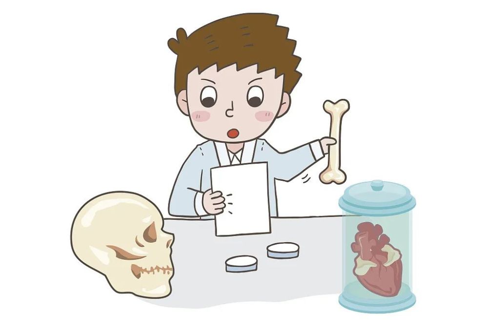 西班牙|马德里将启用新法医研究院