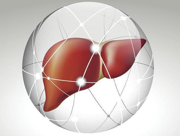 口腔异味|肝不好的人，与正常人有什么明显区别吗？要怎么办？