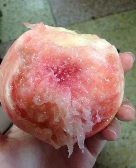 母亲寄来的桃子,甜到心里