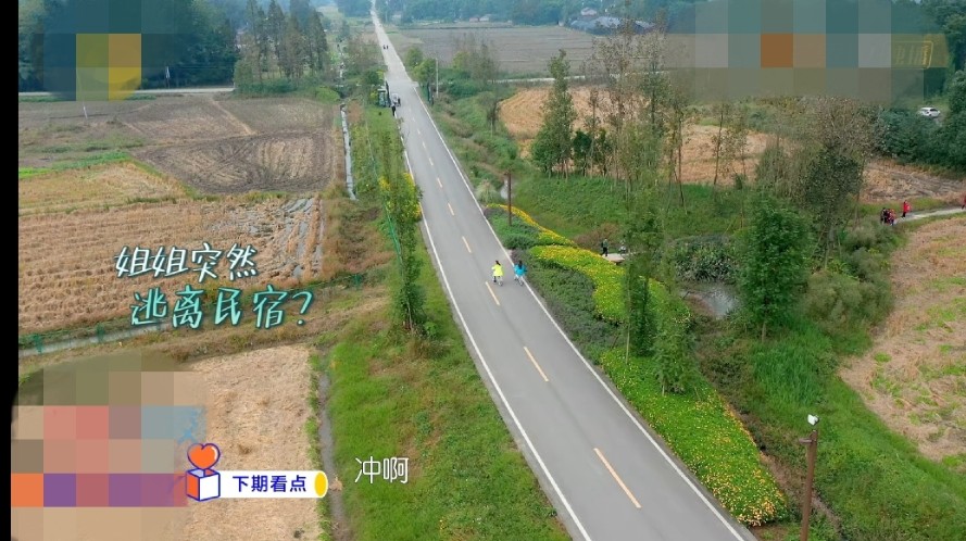 乘风破浪的姐姐|《姐姐》节目组搞事情？观众想看姐姐旅游，姐姐却要关起来排练？