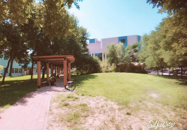 北京|为什么要去北京、上海上大学，一篇文章八个字给你说清