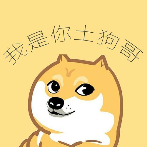 选择大黄选择信赖