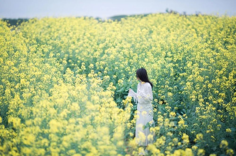 歌德|做人，不要去怪任何人