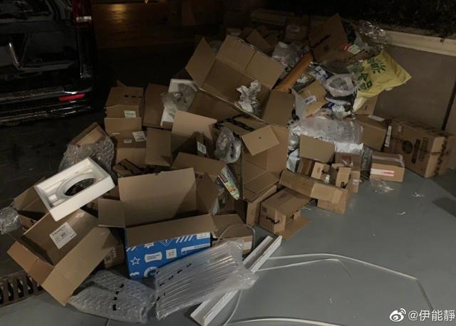 伊能静|伊能静购900件商品到货，新房垃圾堆积如山，网友：又能赚广告费了