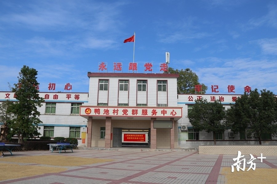 乡村振兴领头彦梅州兴宁这个村党支部书记这样带领村民致富