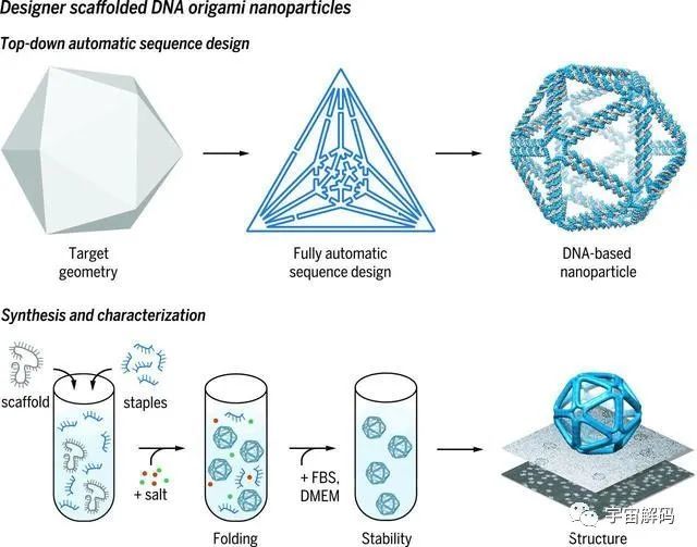 分子光刻可编程dna3d无机纳米