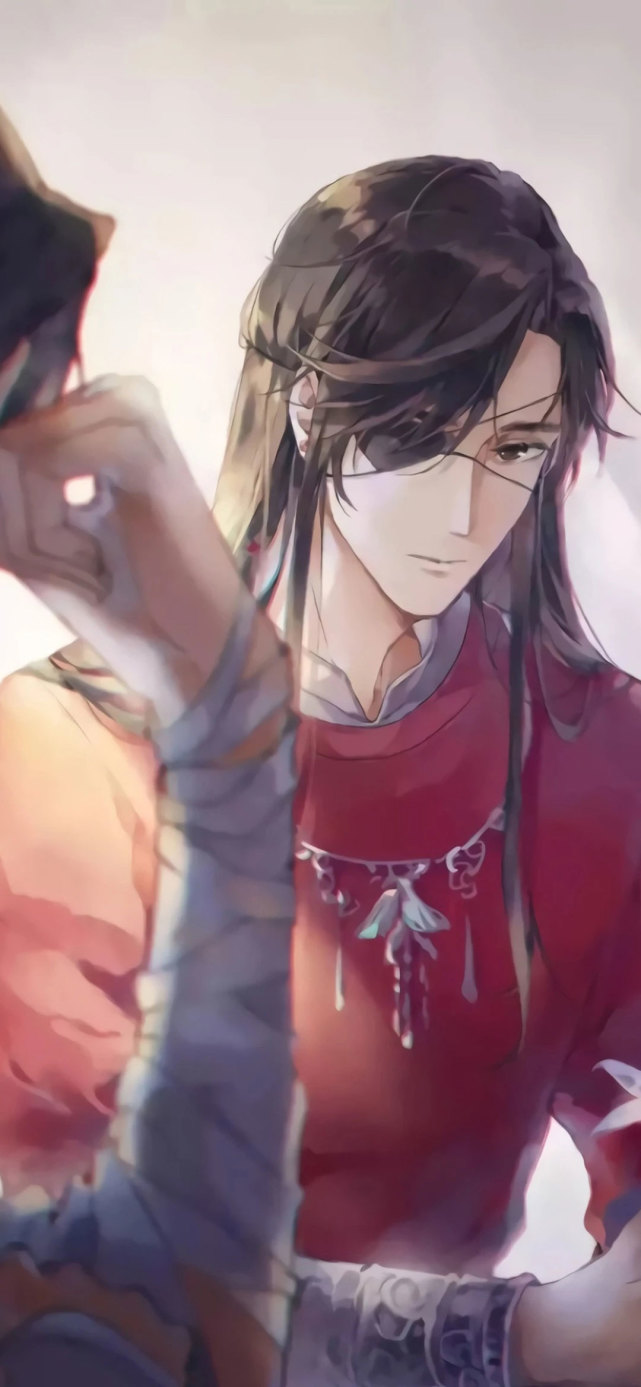 天官赐福全面屏壁纸 我在人生的路上遇见了你 而你却停留在了我的路上 壁纸 天官赐福 全面屏