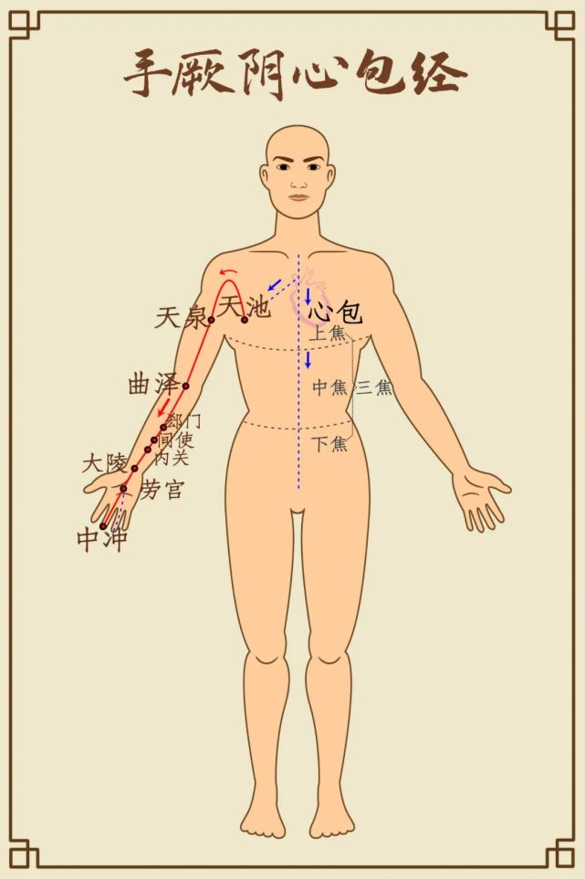 人體十四經絡(高清大圖)