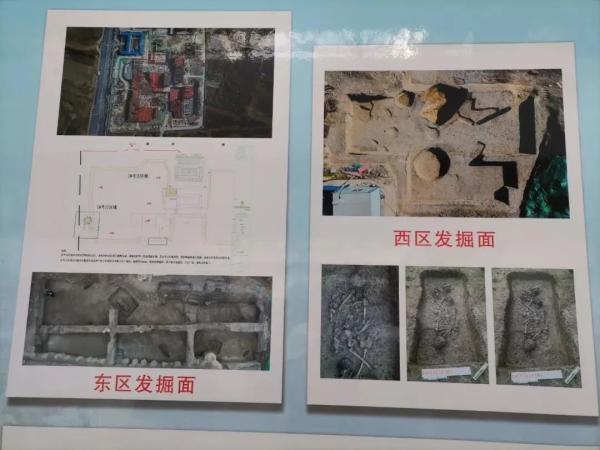 新石器时代|考古重大发现！阜城历史距今5000年！