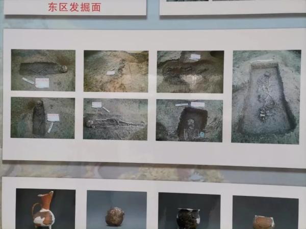 新石器时代|考古重大发现！阜城历史距今5000年！