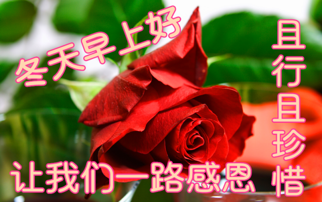 2021年11月14日清晨早上好問候祝福動態表情圖片最新早安問候祝福圖片