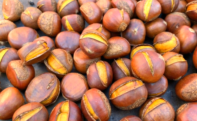 炒板栗时,用菜刀切口就错了,卖栗子的大姐教我诀窍,快速又完整_腾讯