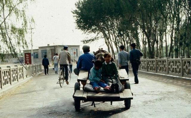 1983年的東北集市蔬菜山貨遍地拉貨基本靠馬車