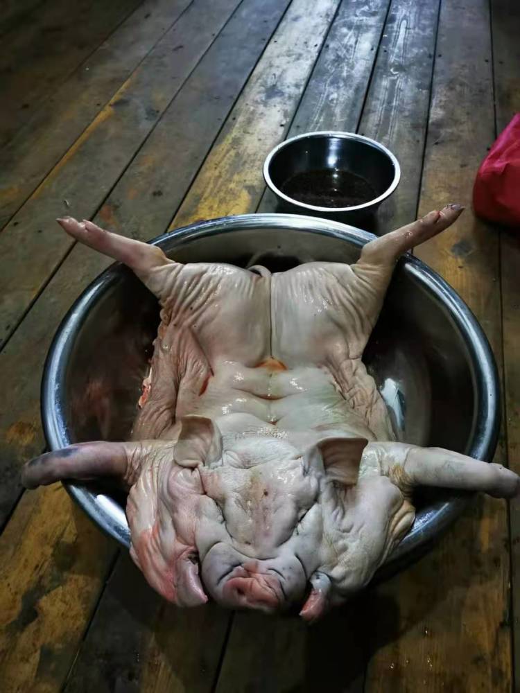 广西独有巴马香猪秘制全过程