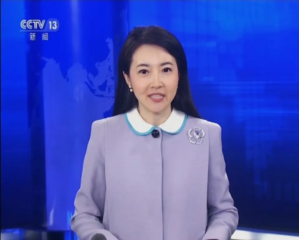 央视《24小时》栏目新闻主播张晓楠:"我辞职了?我怎么不知道!