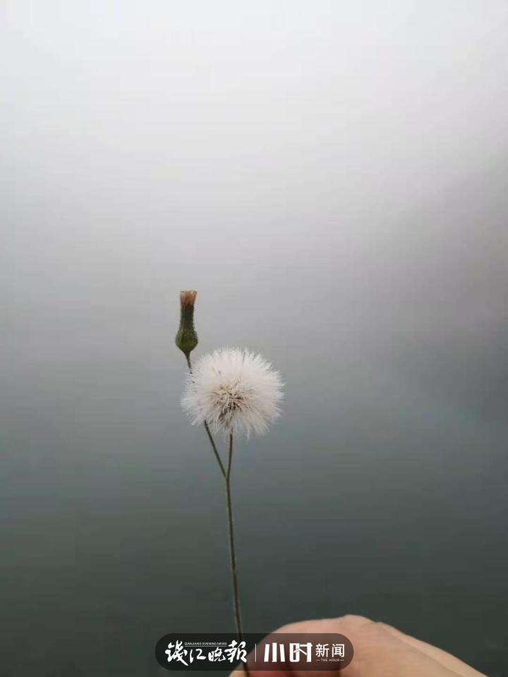 能见度|今晨的雾很是深邃，早起的你拍到了吗？气象台：杭州市区水平能见度768米