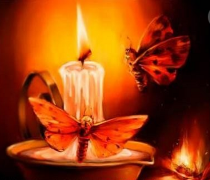 数学|飞蛾扑火背后的数学之美