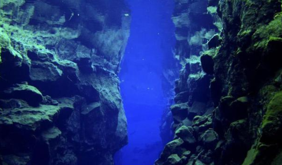 马里亚纳海沟|10909米！中国奋斗者号坐底马里亚纳海沟，1万米下发现了什么？