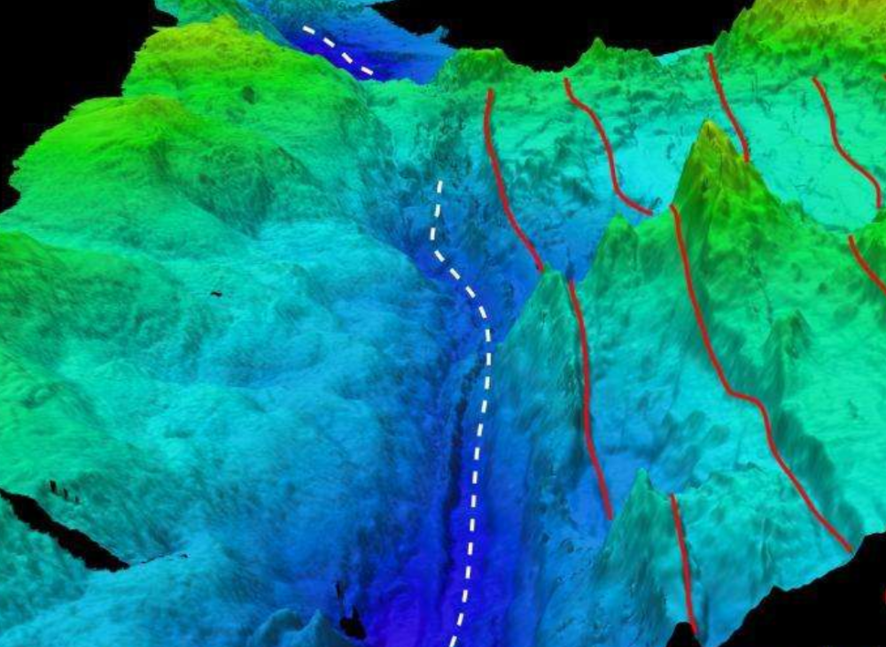 马里亚纳海沟|10909米！中国奋斗者号坐底马里亚纳海沟，1万米下发现了什么？