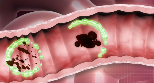 要的长生,肠中常清,肠道干净,人才会健康长寿.