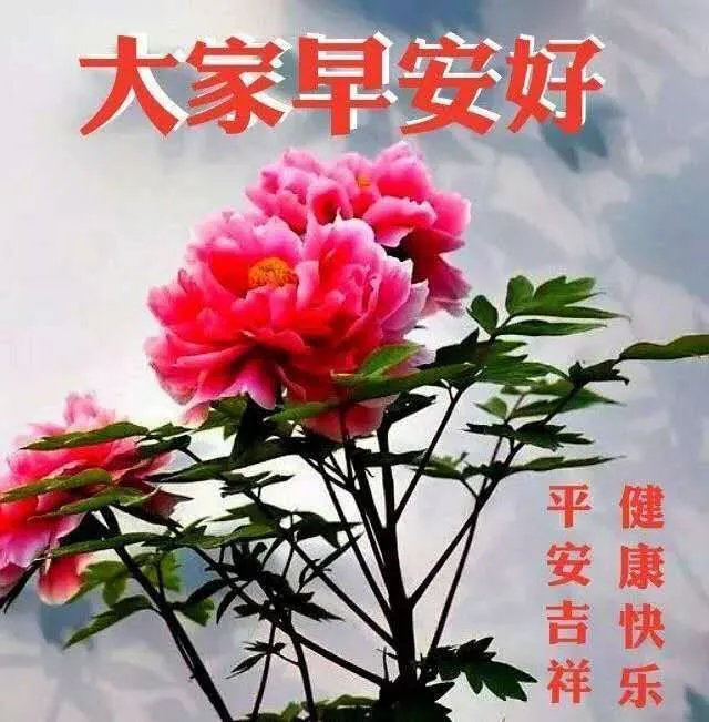 中老年表情包大全 表情包