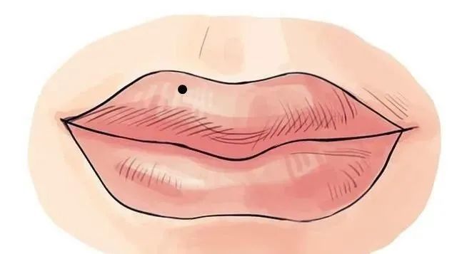 上唇上唇有痣在相学上则是为一种福相,又称为食痣,表示其吃穿不愁