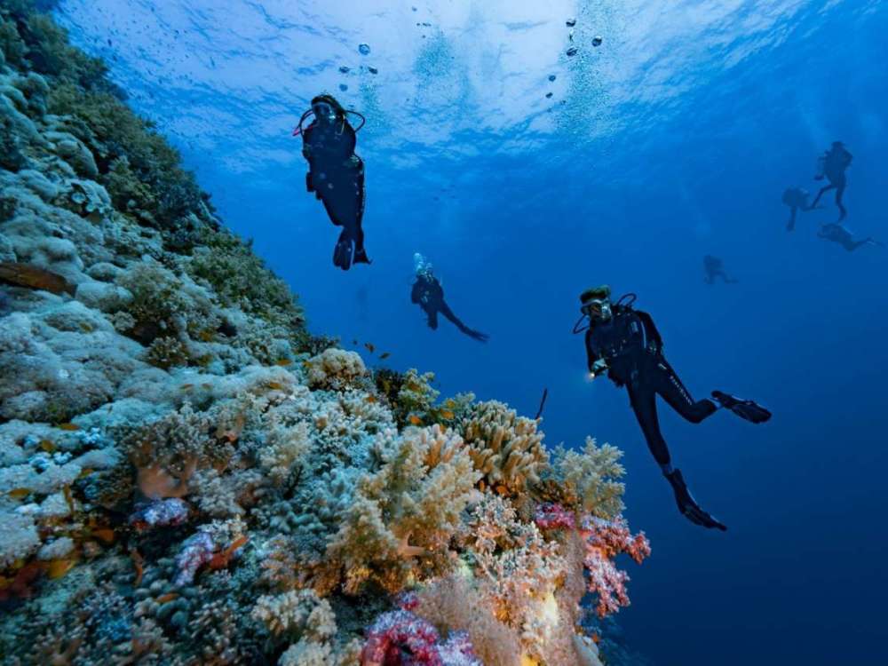 埃及潜水员在红海水下度过6天打破世界纪录_腾讯新闻