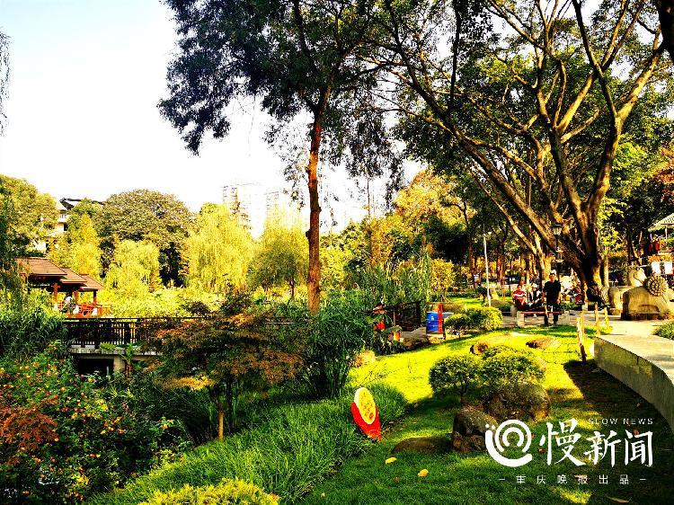 晒太阳遛娃的周末好惬意今年100多个老旧公园换新颜