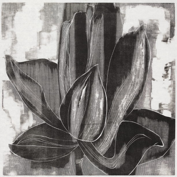 腾讯内容开放平台