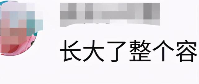 张庭女儿回应长相争议-WordPress极简博客