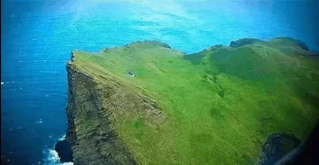 长崎市|那些世界上最孤独的存在，当你知道你是唯一的那个你会是什么感受