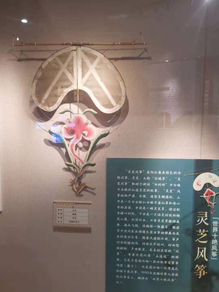 来自全国各地的媒体记者和网络大咖组成采风团来到阳江风筝馆,感受