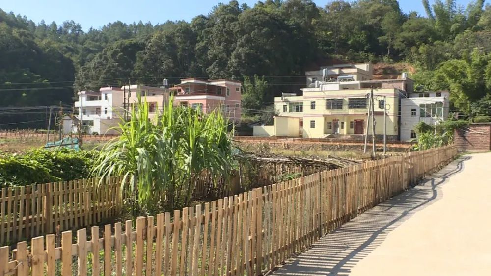 龙川县丰稔镇排东村"小菜园"在村民们的努力下,一个个卫生黑点华丽