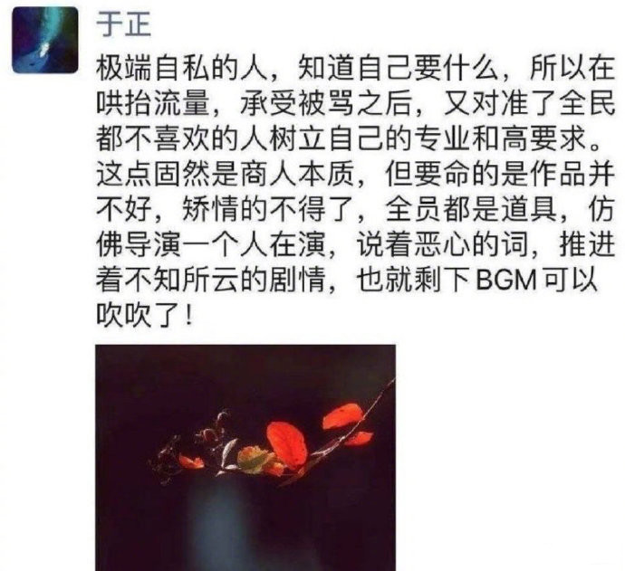 于正|于正发文回应朋友圈diss郭敬明：朋友圈是私人领域，只是说说观众的感受