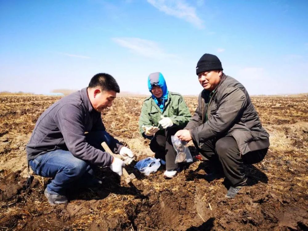 肥料|真正的好化肥，其实最省钱！为啥？