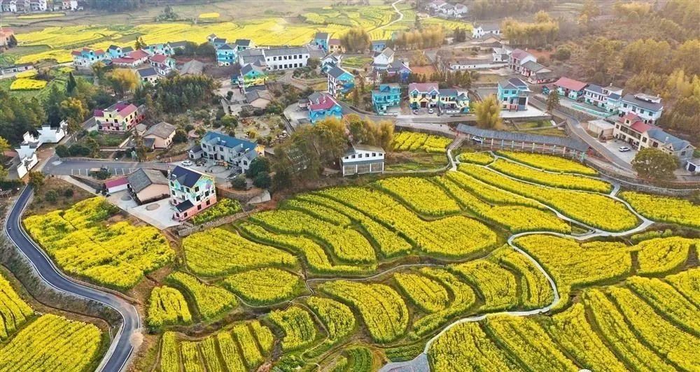 江西省萍鄉市蓮花縣湖上鄉南村村 江西省新餘市分宜縣鳳陽鎮沔村村