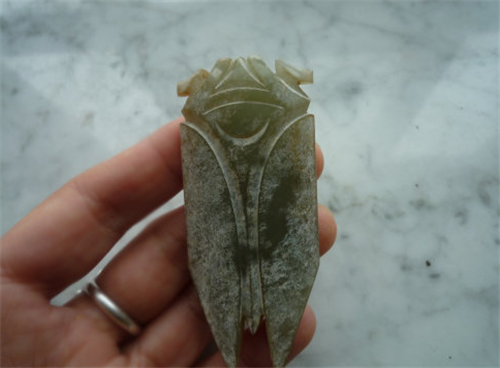 含蝉|女子花高价买下“含蝉”，佩戴10年后拿去鉴宝，专家：胆子真不小