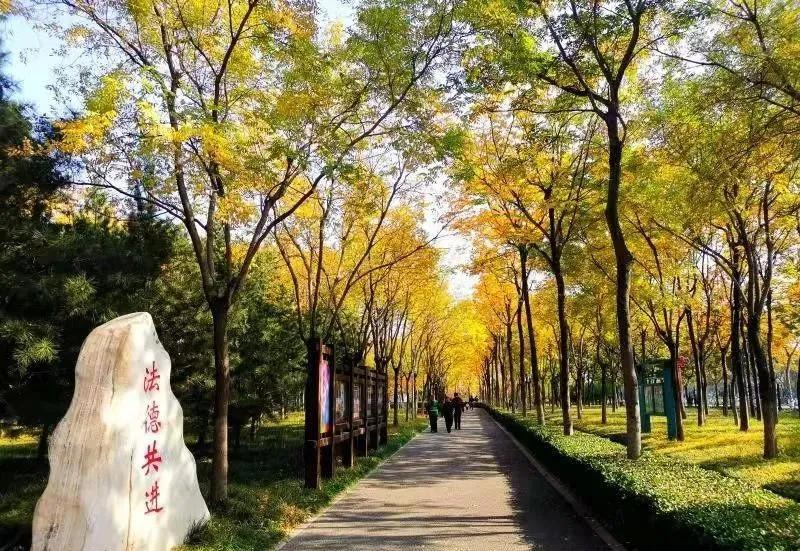 彩叶抹浓妆龙口醉美的景色竟然藏在这里