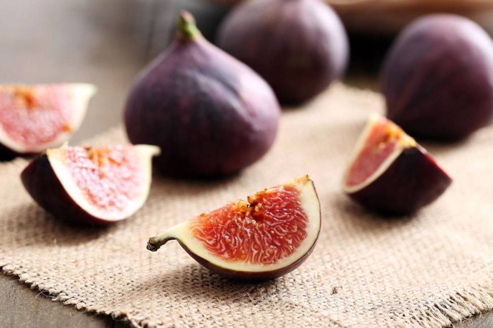 养花|这6个有关植物的知识点，很少有人知道，即使养花的高手也说不清