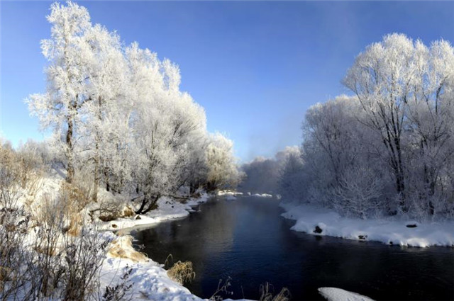 赏读陈维崧寒柳之冬美冻云流水平桥并无黄叶伴飘飘