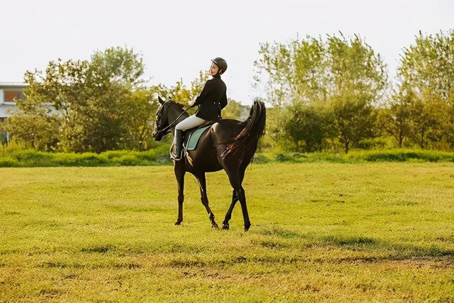 素质教育|一位北京学生的自述引发的教育思考