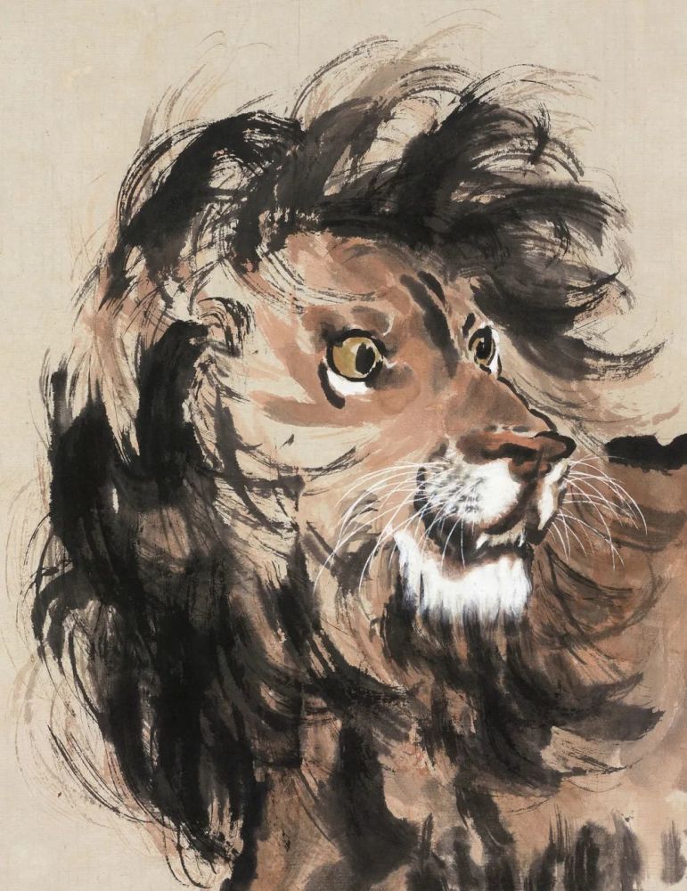徐悲鸿 雄狮(局部)狮子以赭石设色,简洁爽快,结构精准.