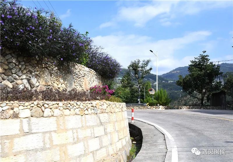 县领导一行实地察看了白沙镇联坑村,大目溪村,环镇路项目等地,详细