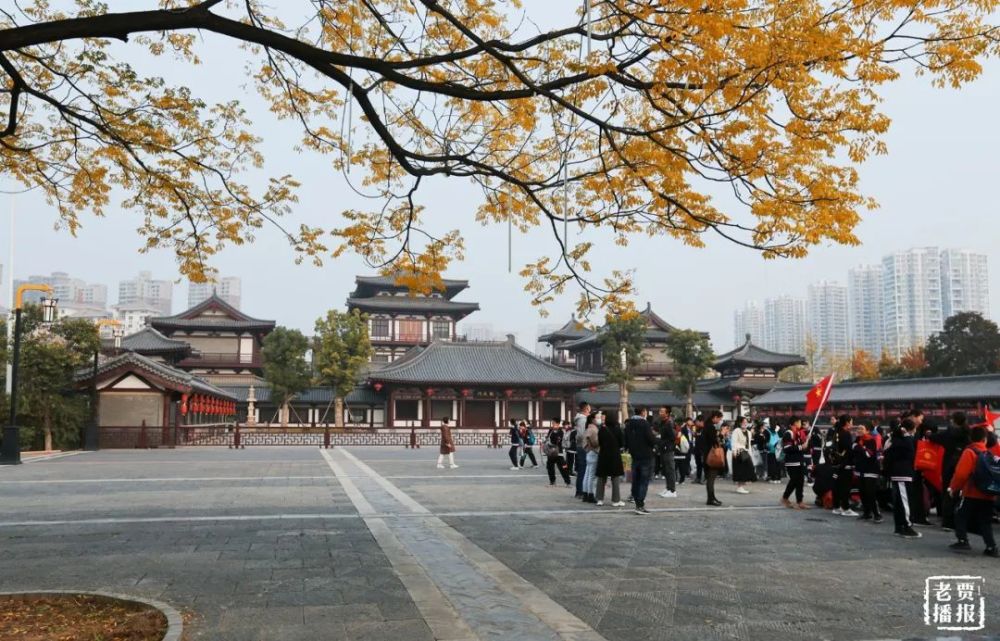 隋唐城遺址植物園△從政坊,大同坊遊園△嵩縣白河銀杏林此時的洛陽