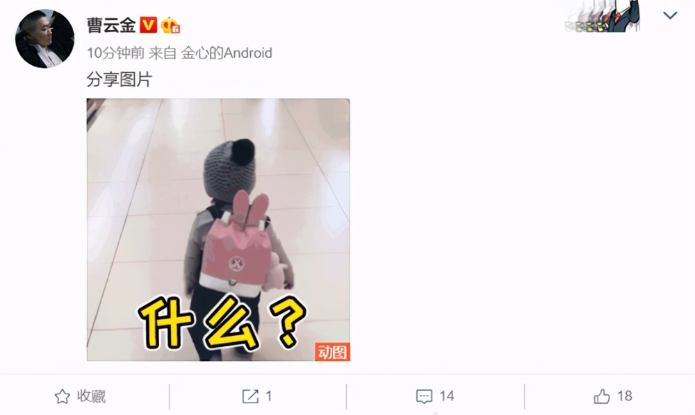 岳云鹏|岳云鹏私生女事件水落石头，曹云金疑发声回应，想红的人太可怕了