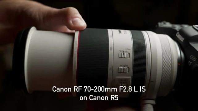 70 0 F2 8无反镜头对比测评 佳能 尼康 索尼 松下 尼康 佳能 索尼 松下