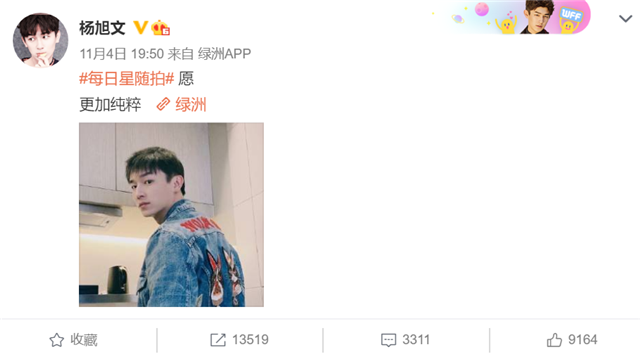 任娇|任娇坠楼案三年后再引热议，表姐透露其父母不追究原因