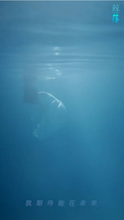 李小璐|李小璐新单曲一人分饰两角，水中相拥太唯美，凤凰涅槃受期待